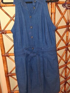 Banana Republic Sleeveless Button-Front Denim Jumper Short Dark Chambray 10 Tall